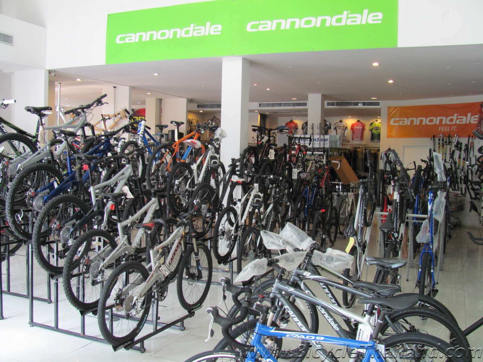 cannondale shops