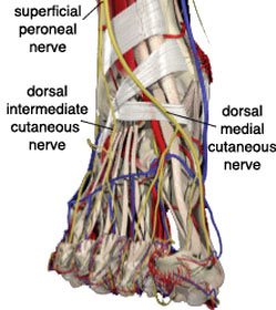 How to Solve Painful Hot Foot - Bicycle 