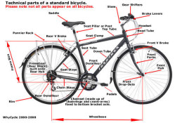 Bicycle Nomenclature - Bicycle Thailand