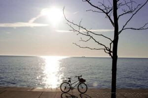 bicycle sunshinewtmk