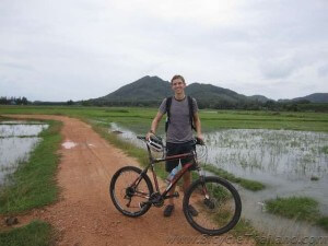 Cycling through tranquil rice plantations