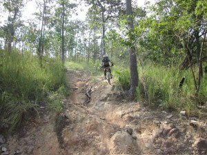 Concentrating on the trail