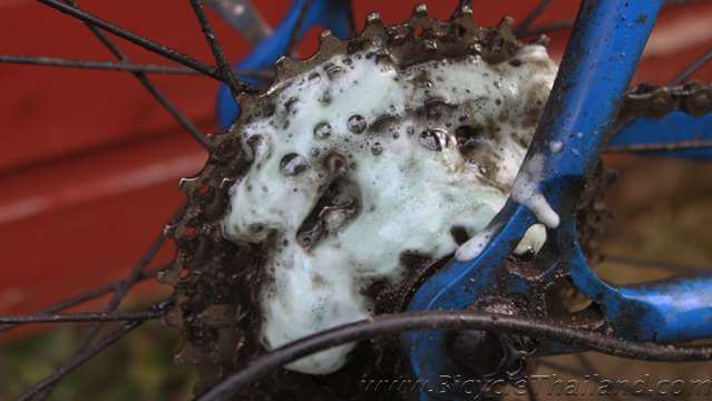 Bicycle-Spring-Cleaning 2