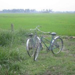 thailand cycle tours reviews