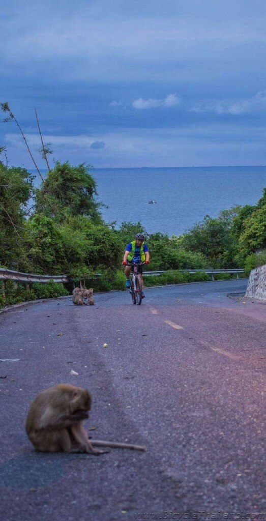 Cyclists and monkeys abound at Khao Sam Muk