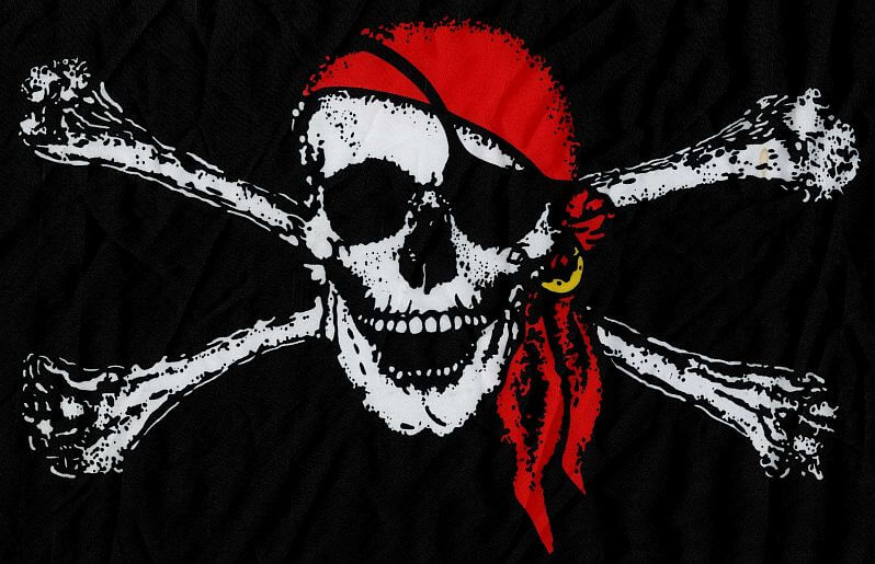 Pirate Skull Flag