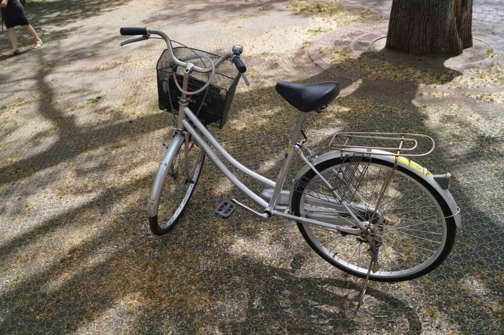 Simple Bicycle