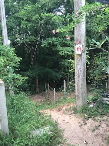 Khao Chalak trail signs