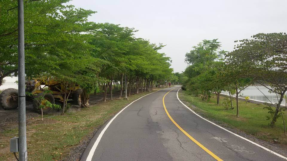 Park 1 cycle lane